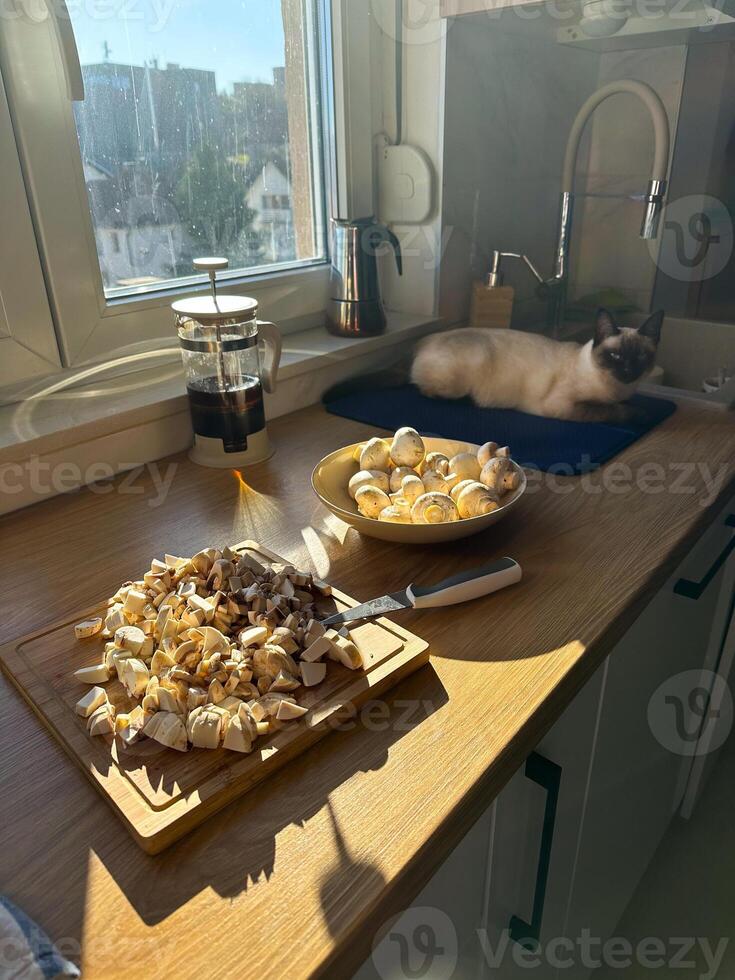 Kitchen scene with sunlight streaming through window, featuring freshly chopped mushrooms and a siamese cat resting on counter. Atmosphere captures the essence of cozy and relaxing home cooking. photo