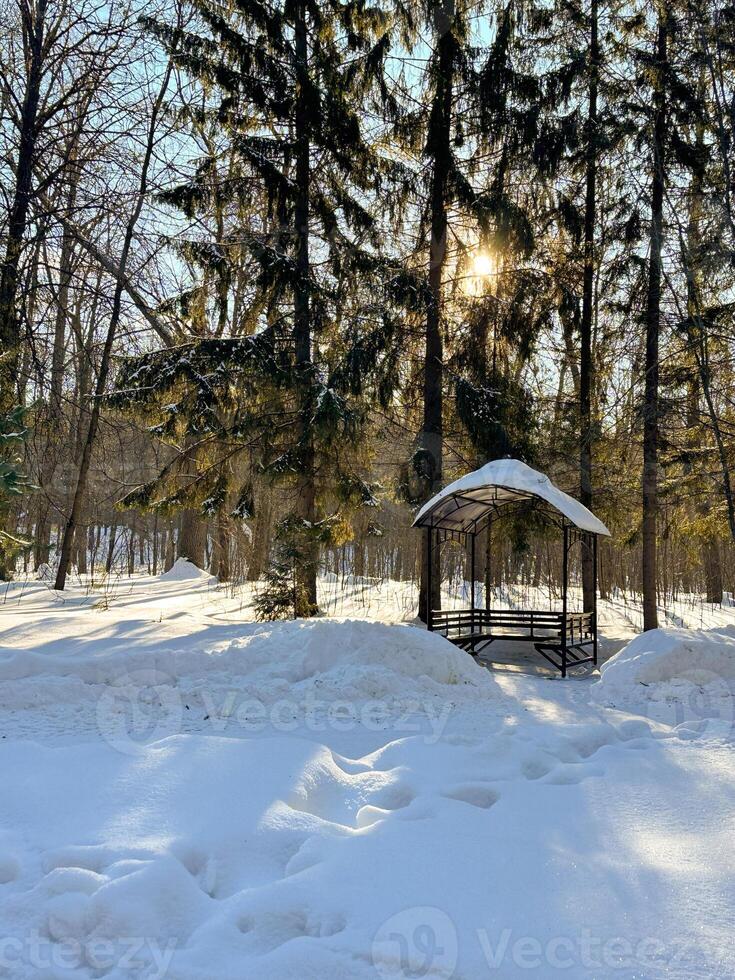 solitary gazebo stands amidst a snowy forest under the soft glow of the sun. the winter scene evokes tranquility and serene beauty photo