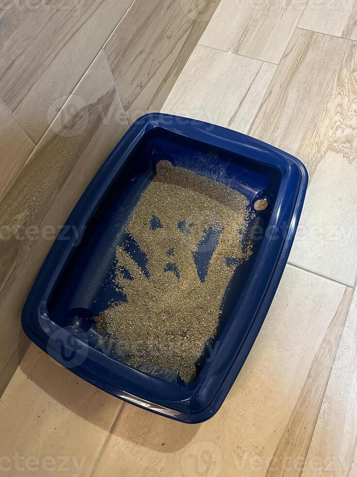 Simple blue cat litter box sits on a floor, showcasing the daily essentials of pet care in a household. Routine aspects of maintaining a clean living environment for pets. Toilet for cat photo