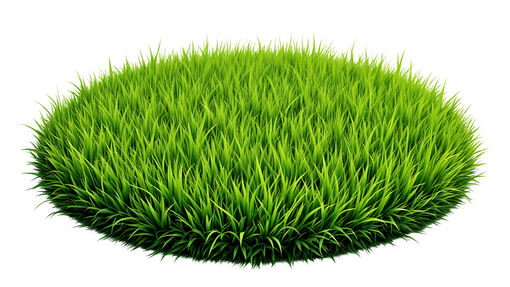green grass round on transparent background png