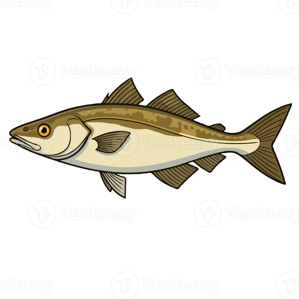 Pollock Fish Illustration png