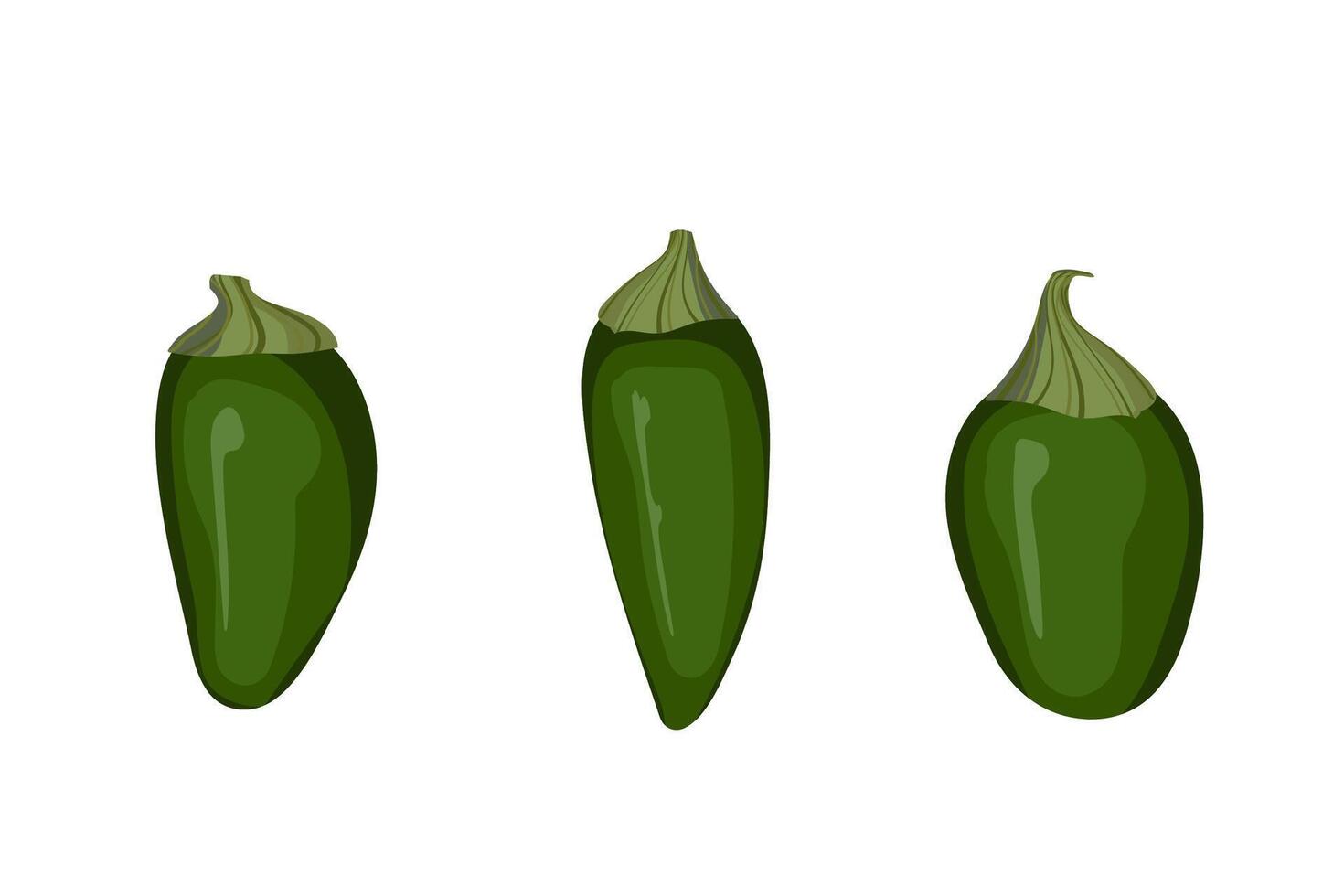 Green jalapeno pepper. Illustration of spicy vegetable. vector