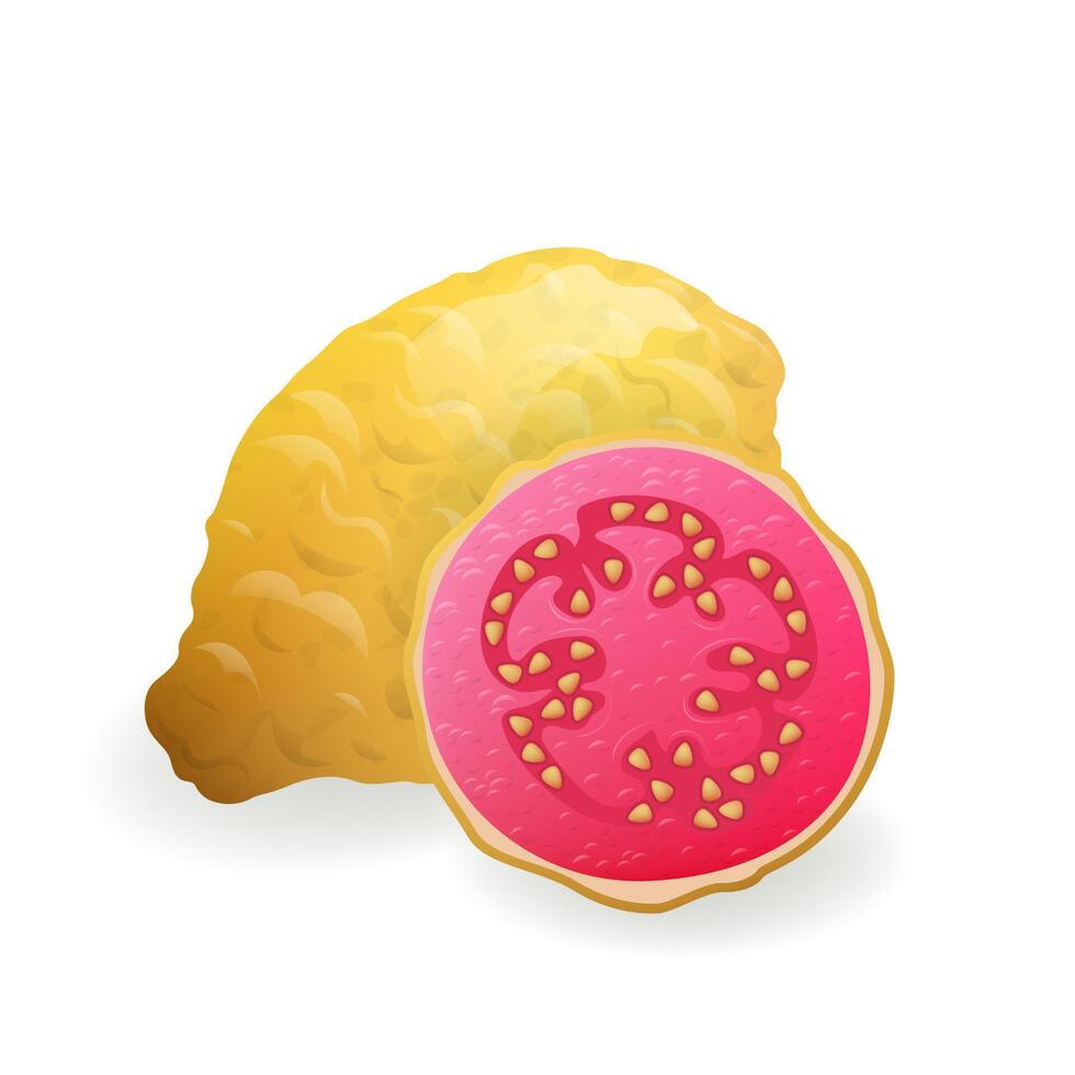 Whole yellow and sliced pink Guava fruit illustration. Ripe guajava set on white background. Vegan food, healthy and natural dessert. vector