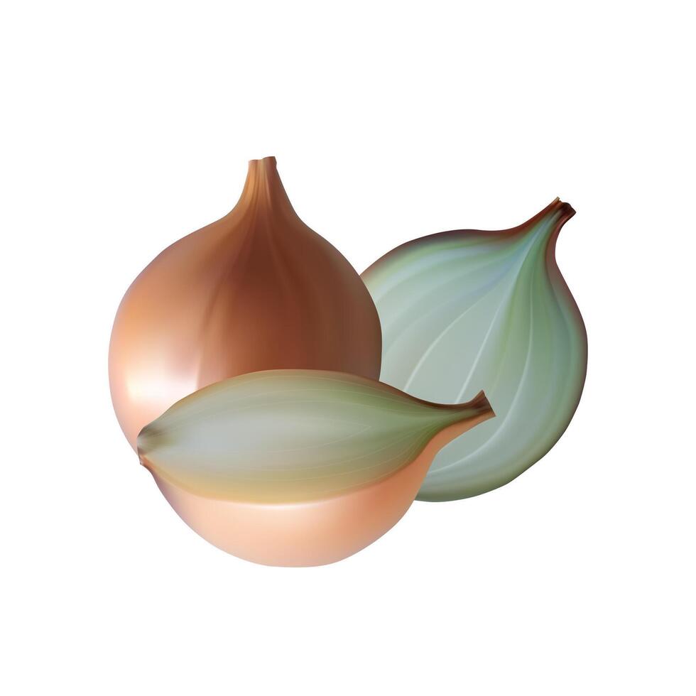 Onion half and whole. Healthy eating. White background. vector