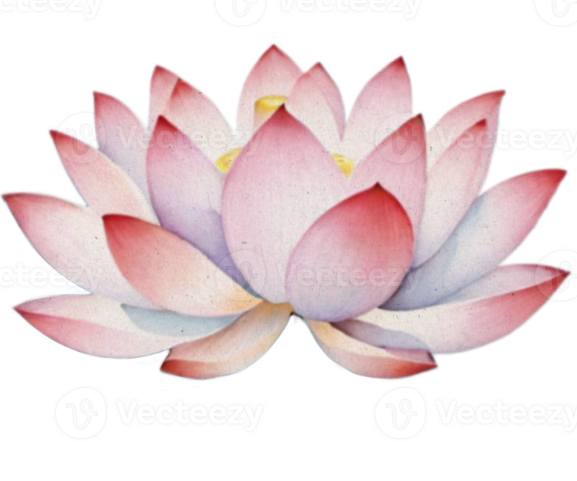 Lotus Flower Watercolor png