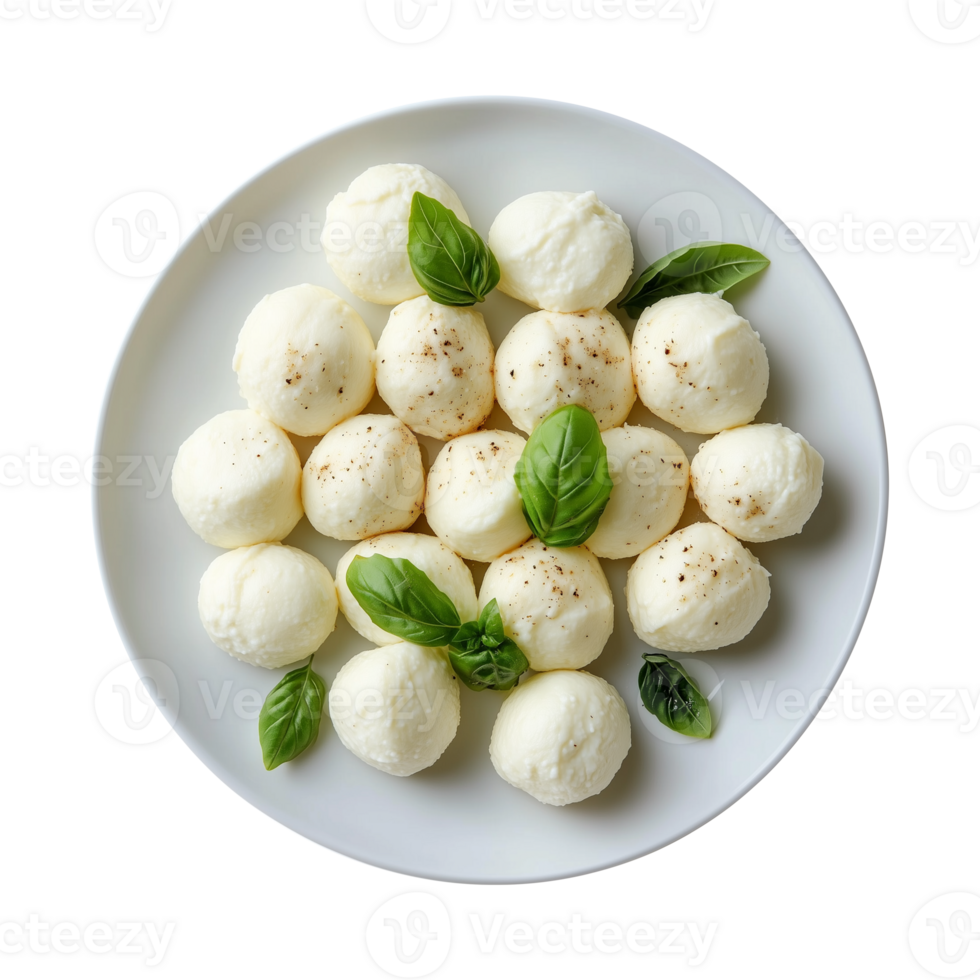 a bowl of mozzarella cheese with tomatoes and basil isolated on a transparent background png