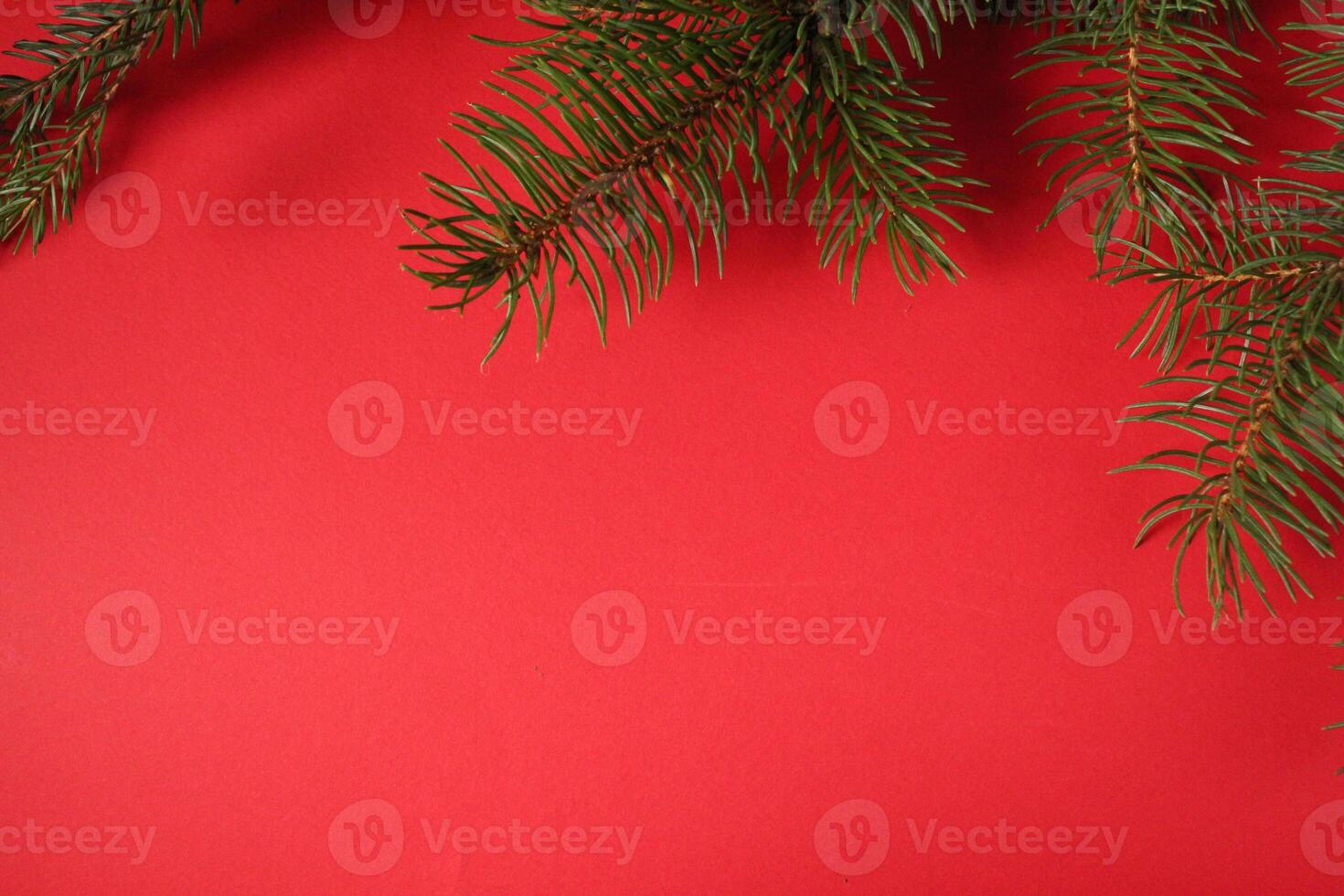 New Year Christmas Background Spruce Branch on Black Red Yellow Background with Space for Copyspace Text photo