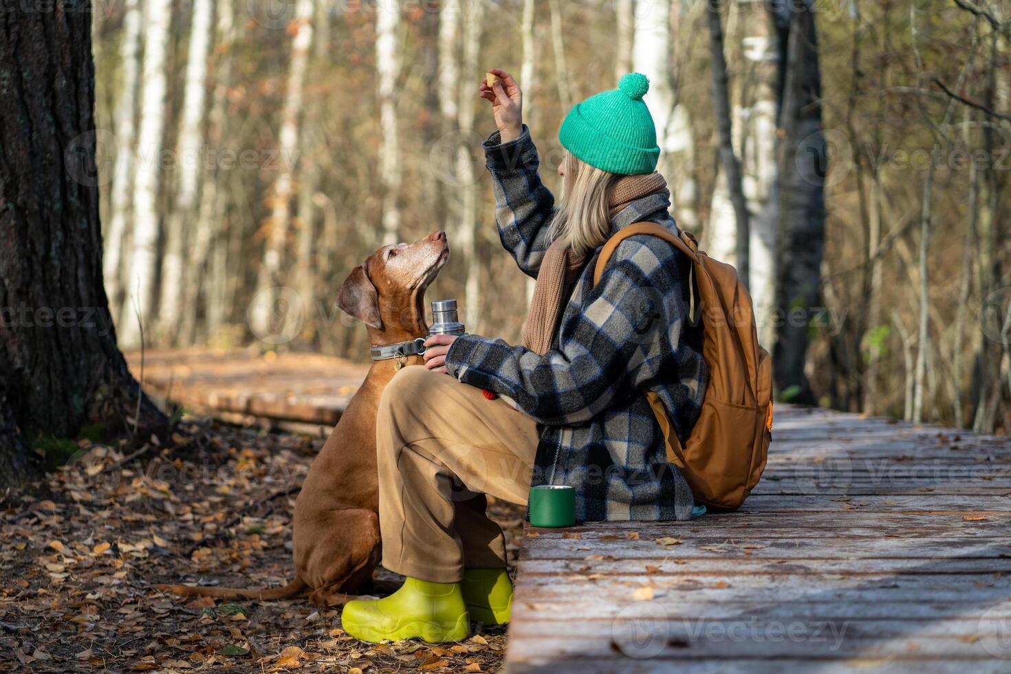 Cheerful woman and dog having fun in autumn forest relaxing outdoors on september october afternoon. photo
