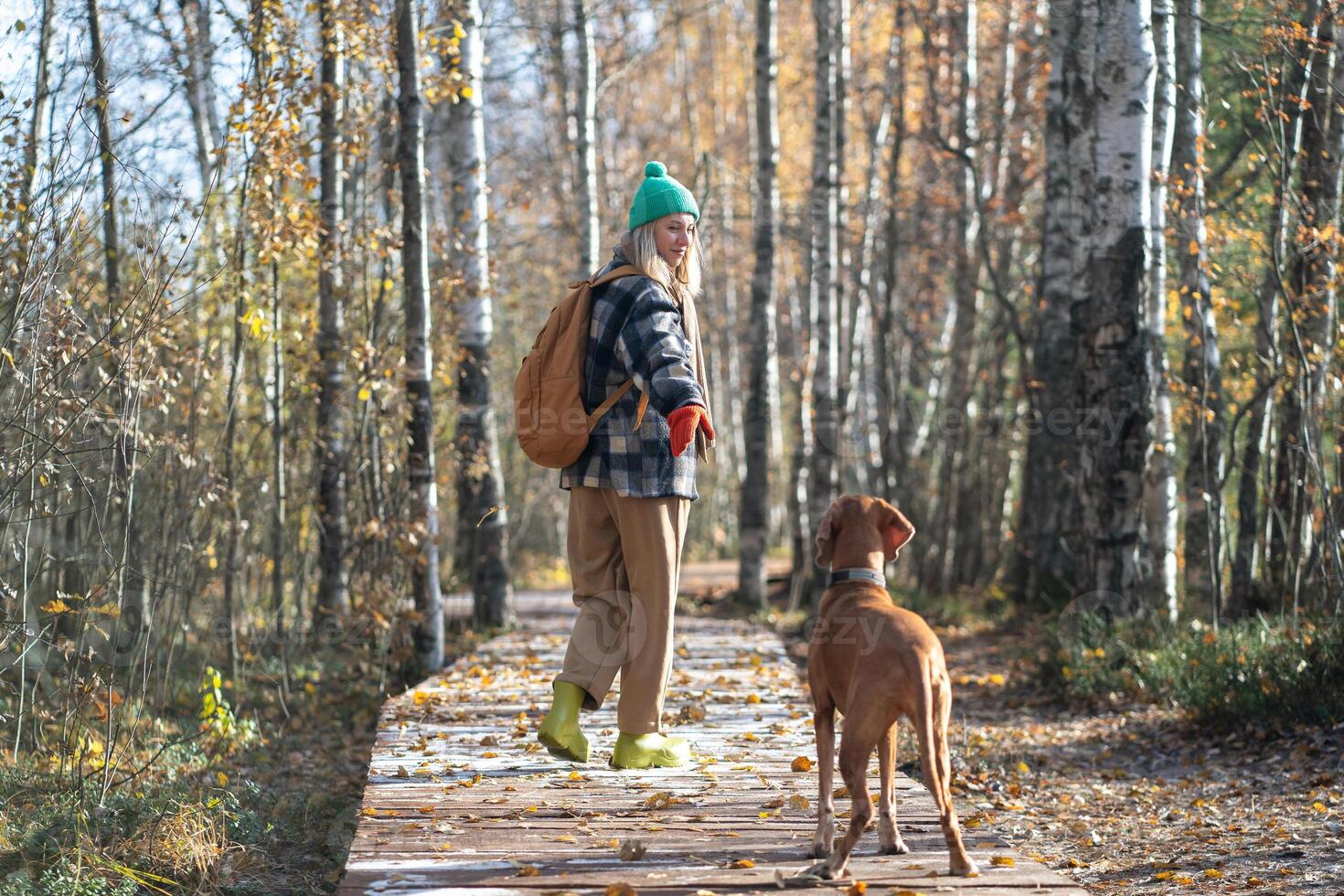 Cheerful woman peacefully walking, strolling in sunny autumn forest with playful hunting dog. photo