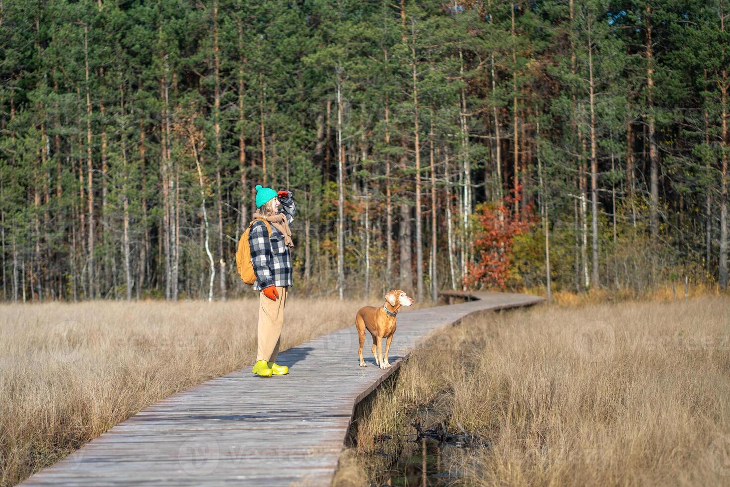 Interested woman staring into distance watching wildlife walking with dog in fall forest eco park. photo