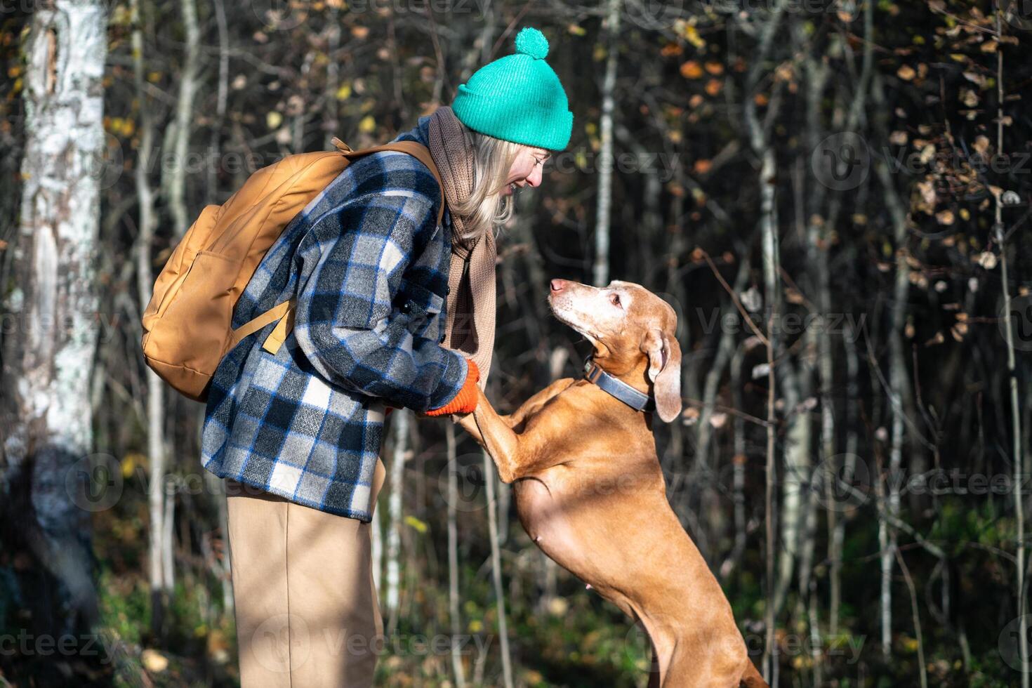 Caring woman dog walker playing with pet vizsla in autumn park, have fun outdoors. Canine lover. photo