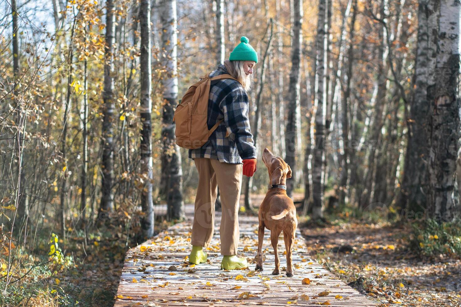 Backpacking woman strolls with dog on eco trail in autumn birch forest. Pet sitter, adoption, trust photo