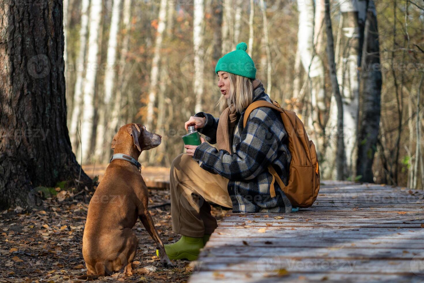 Female owner talks to dog sitting expectantly for treat on autumn forest walk. City escape with pet photo
