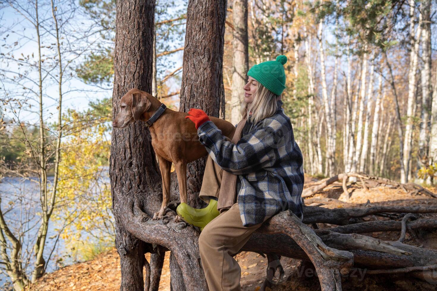 Serenity woman petting dog, sits on tree roots in autumn forest enjoys tranquility time on nature. photo