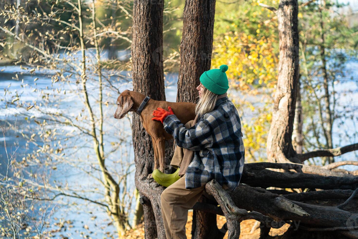 Relaxed woman dog owner resting on roots tree with pet walks in hiking in autumn forest in sunny day photo