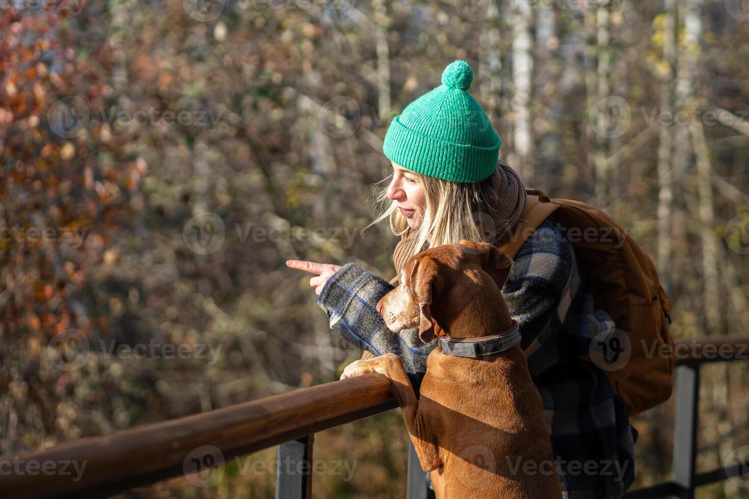 Interested woman dog owner finger showing bird to attentive pet vizsla walking in fall forest park. photo