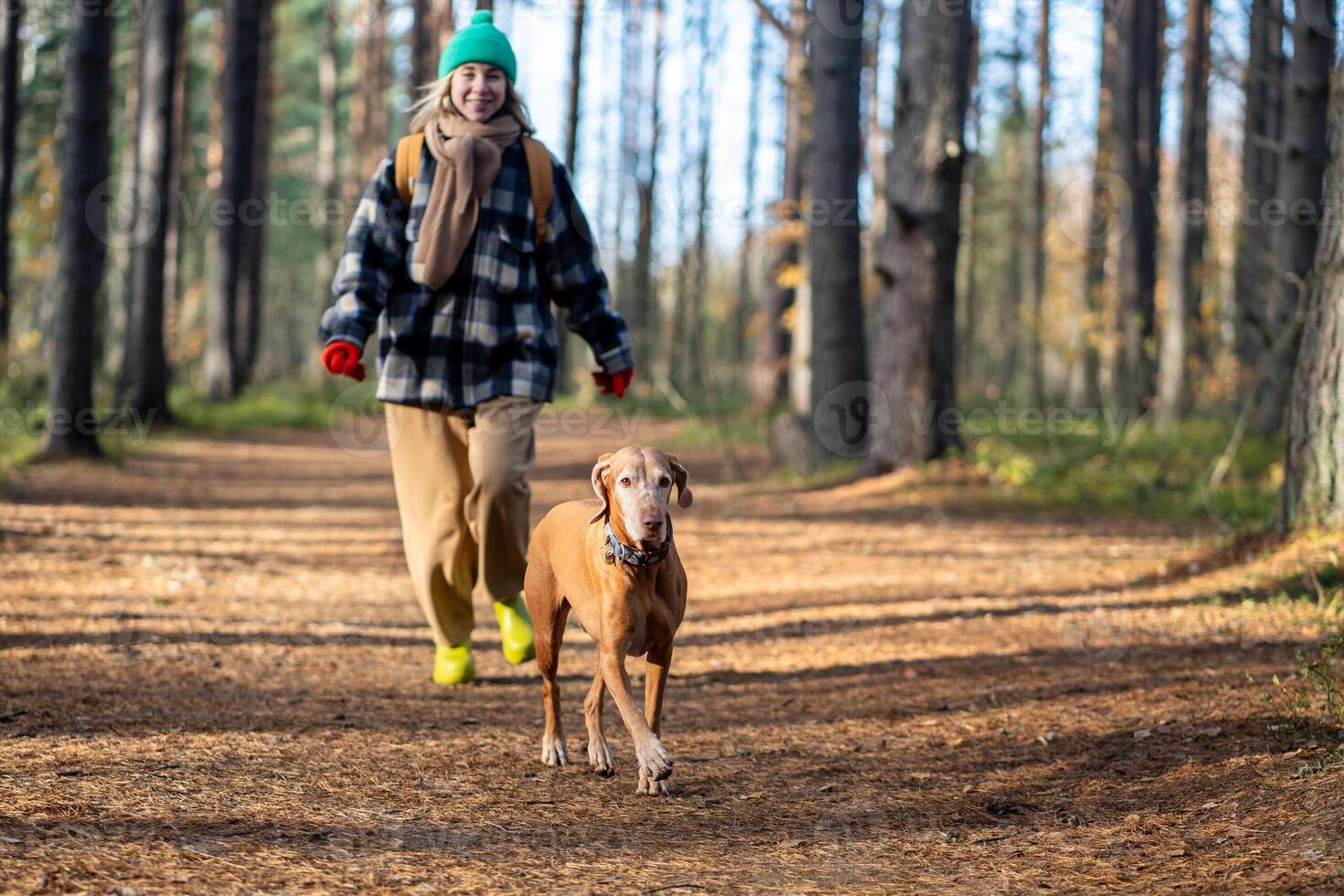 Happy pleased woman pet owner enjoys forest stroll with active playful dog on sunny cold autumn day photo