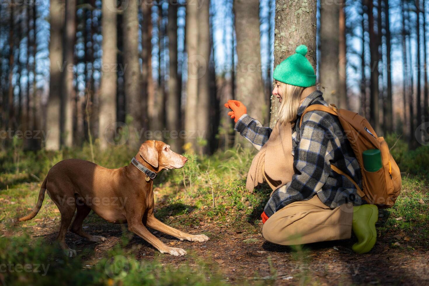 Joyful interested woman pet owner trains playful eager to follow command dog on walk in fall forest. photo