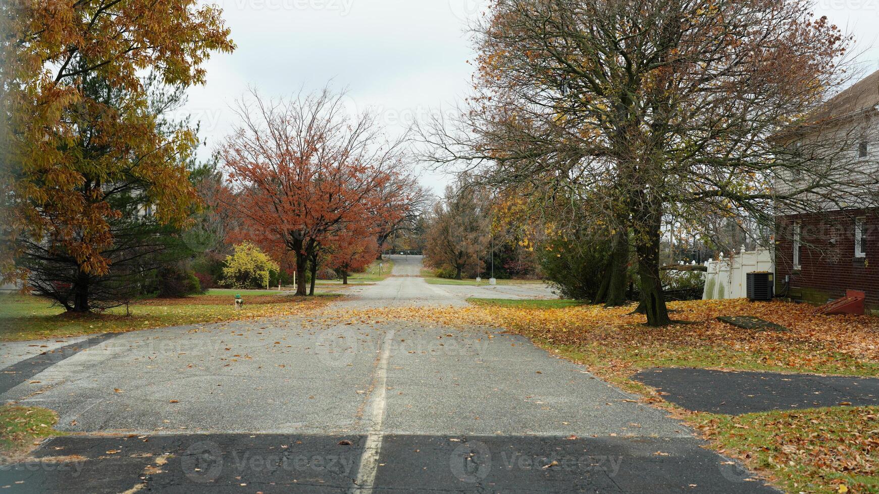 The usa countryside view surrounded by the colorful forest woods in autumn photo