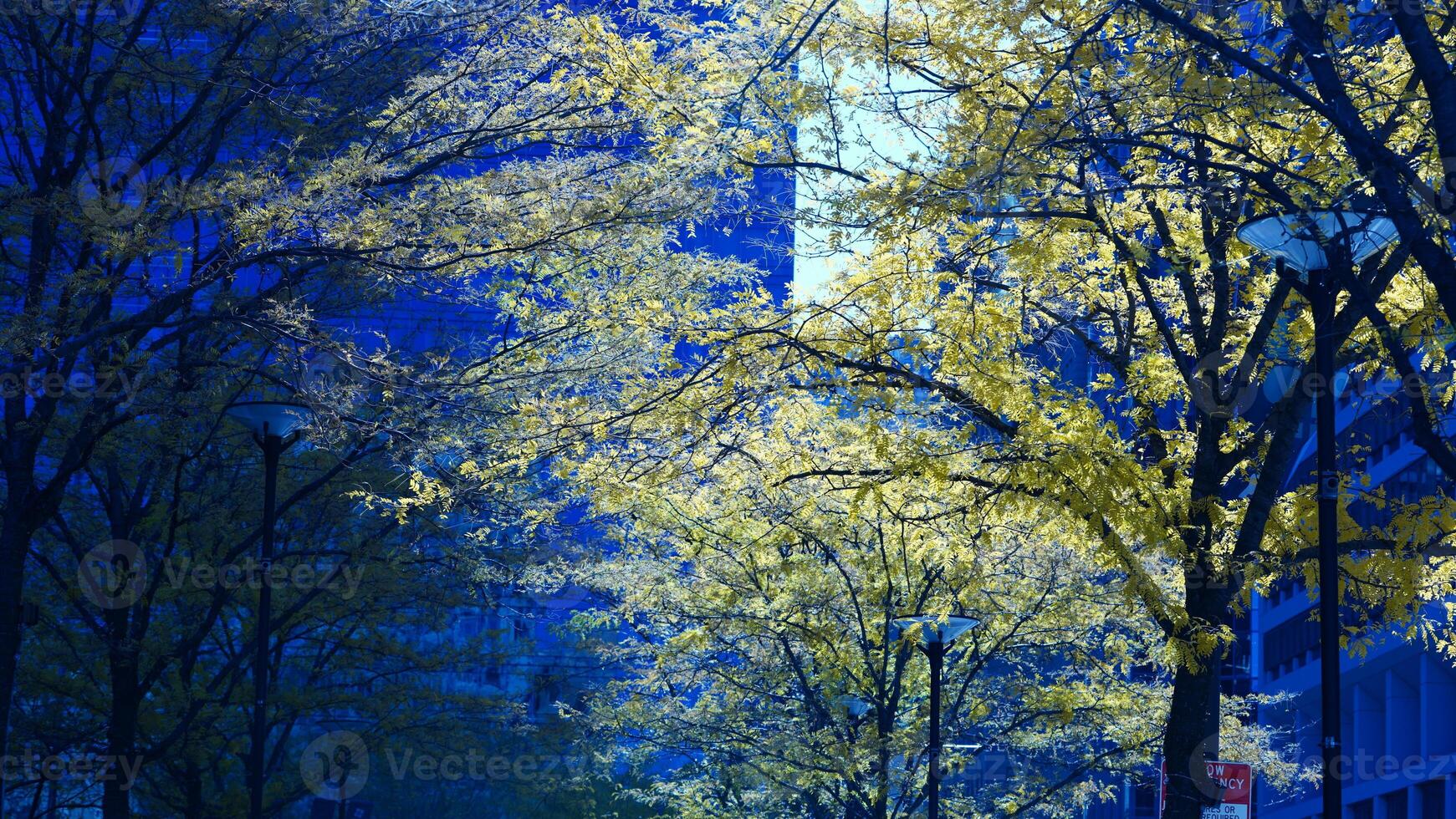 The beautiful Philadelphia city view in autumn photo