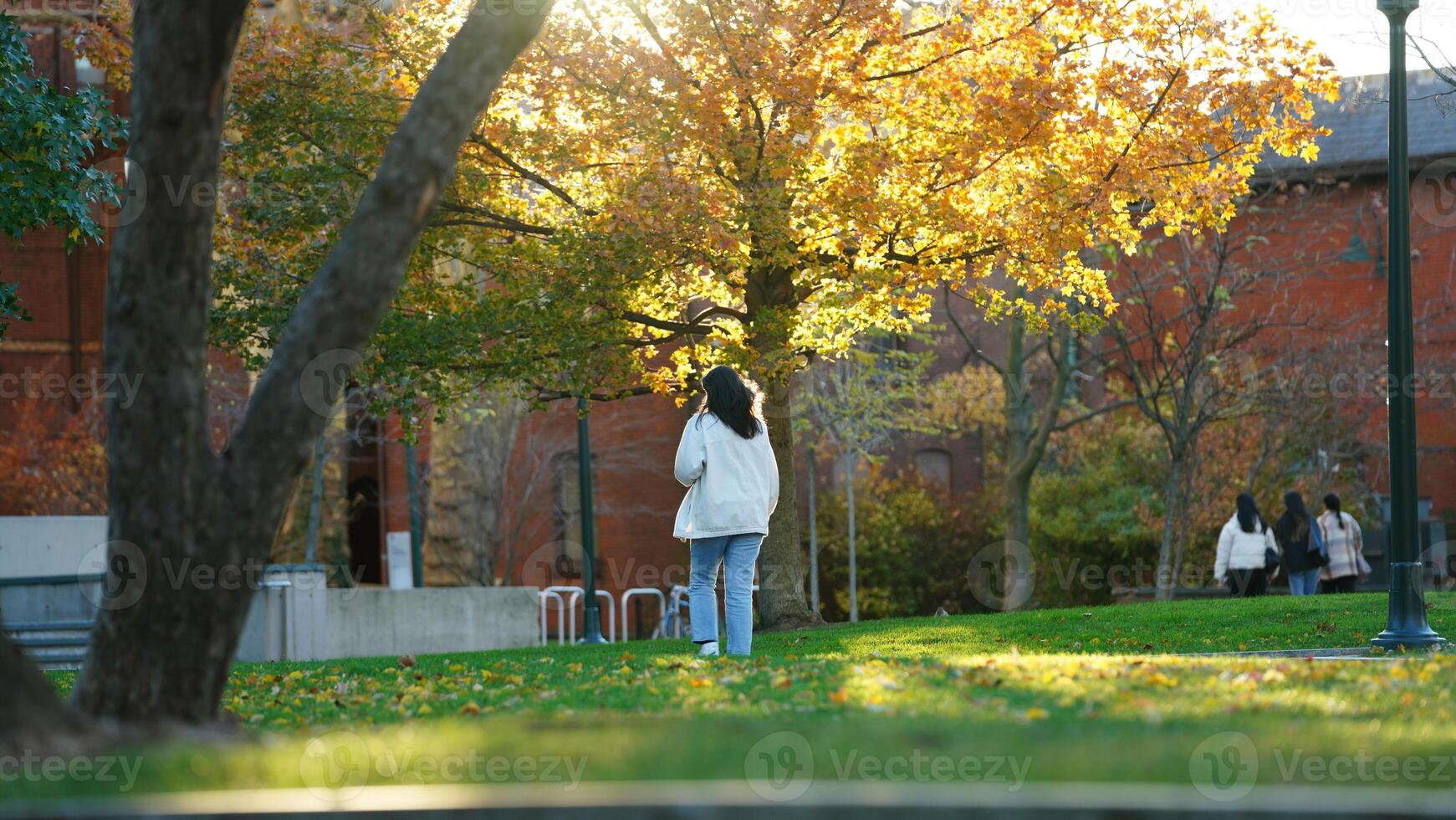 The beautiful campus autumn view in the University of Pennsylvania in Philadelphia photo