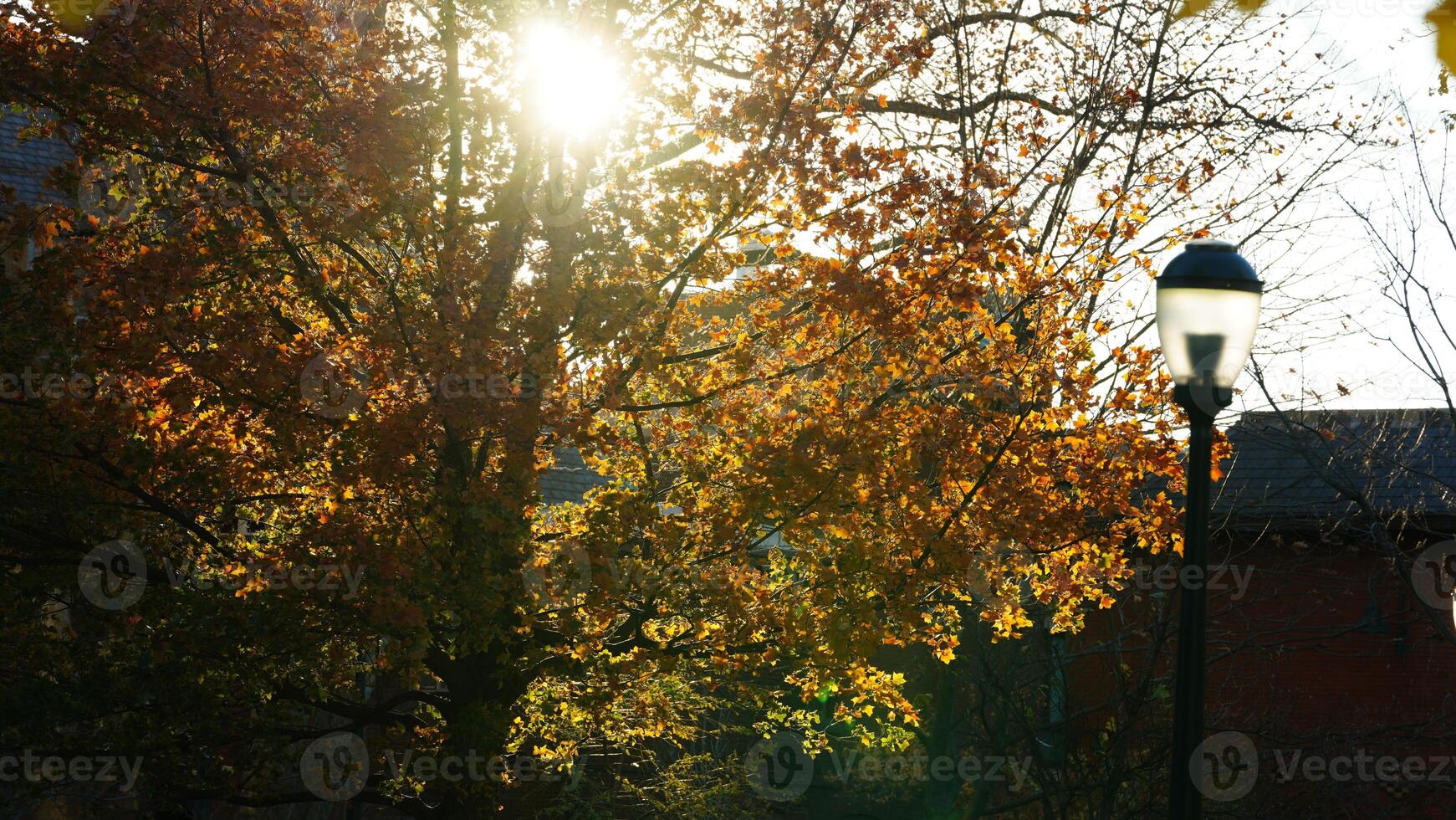 The beautiful campus autumn view in the University of Pennsylvania in Philadelphia photo