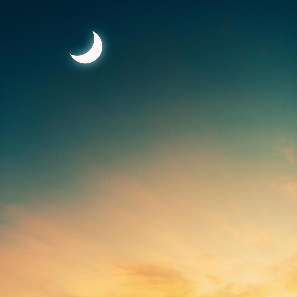 the moon is seen in the sky over a field photo