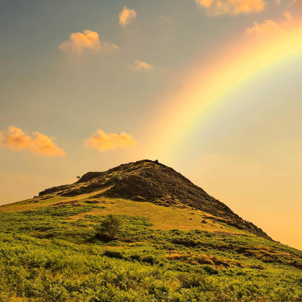 a rainbow is seen over a hill with grass and trees photo