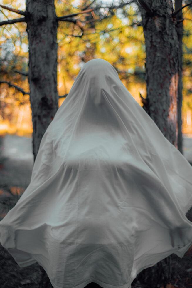 Halloween Whispers When Ghosts Meet Pumpkins photo