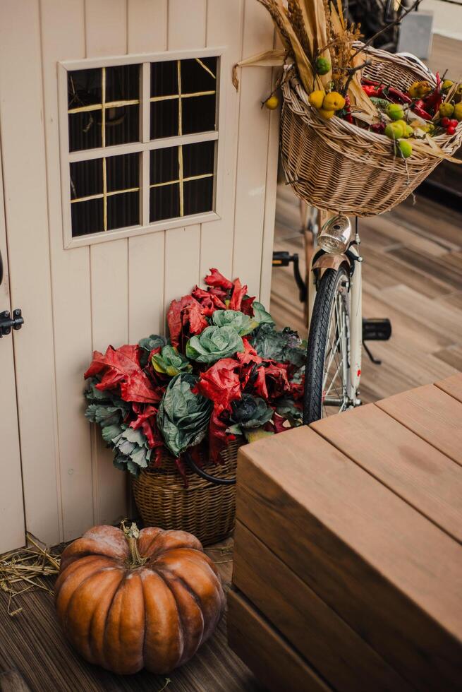 Cozy Autumn Vibes A Farm Life with Rabbits photo