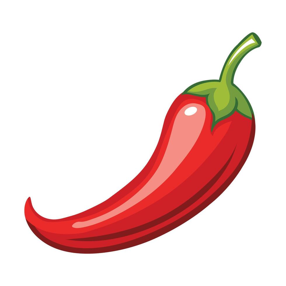 Illustration of Chili Pepper isolated on white vector