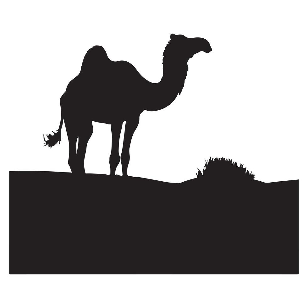 Camel silhouette on white background vector