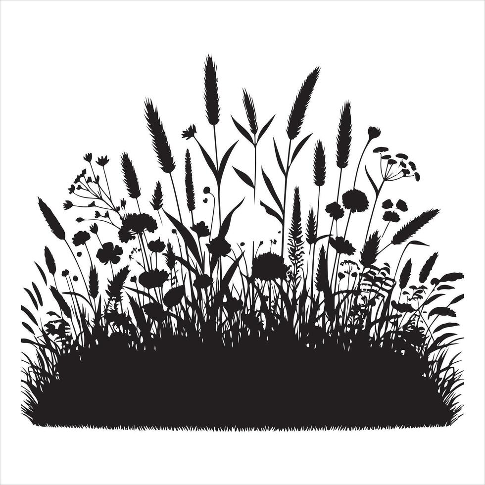 Field with cereals, grass and wild herbs silhouette on white background vector