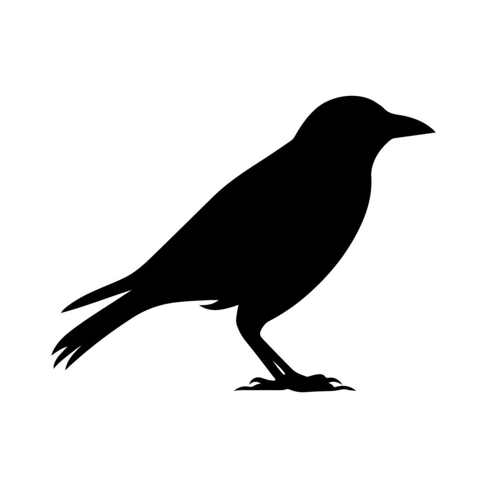Black silhouette of a Crow illustration vector