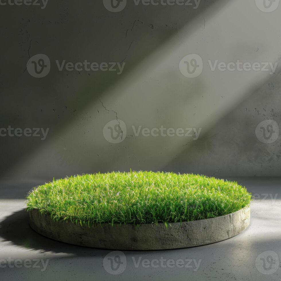 Circular Grass Patch on a Concrete Platform photo