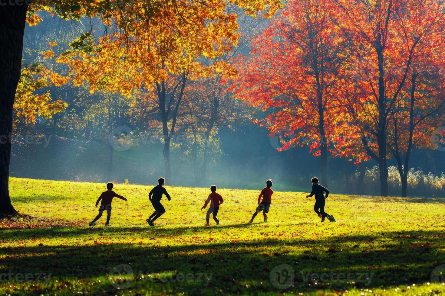 Silhouettes of Children Playing in an Autumnal Park photo
