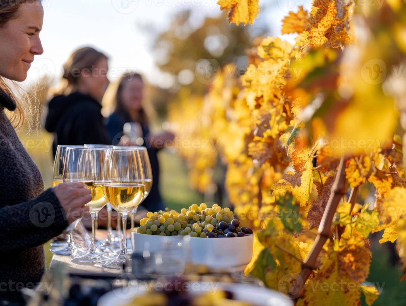 Woman Tasting Wine in a Vineyard with Autumn Leaves photo