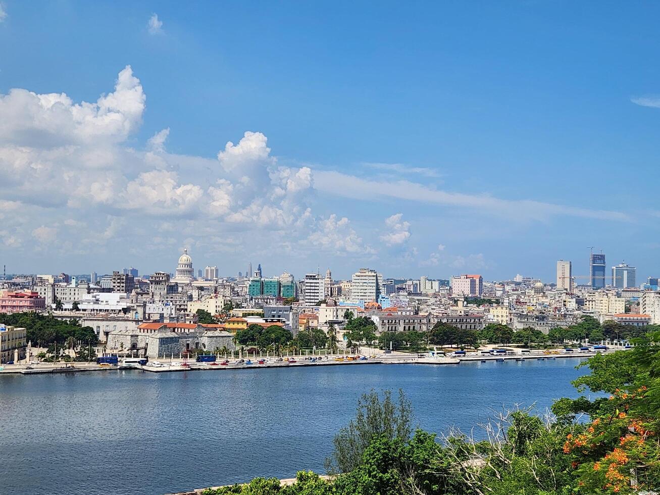 A city skyline with a river and trees photo