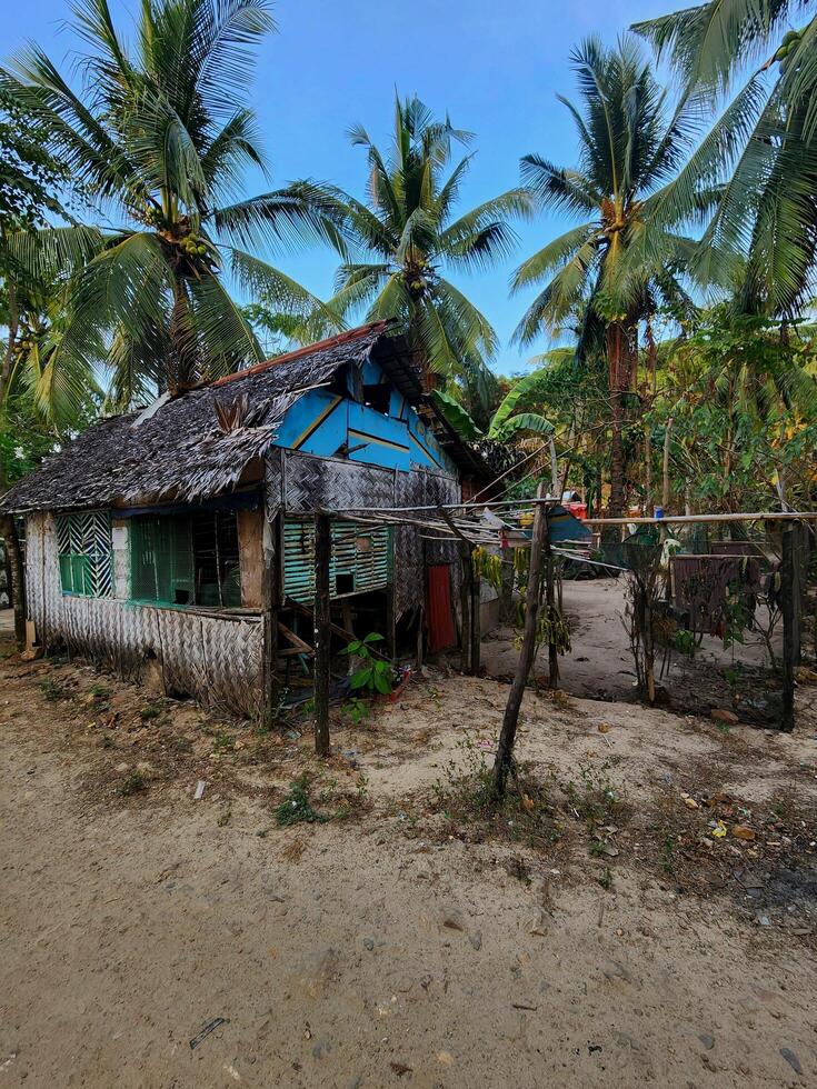 A small shack with a fence and palm trees photo
