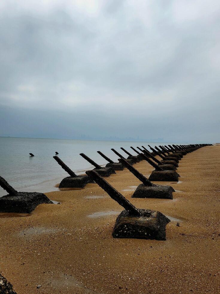 A row of wooden posts on the beach photo