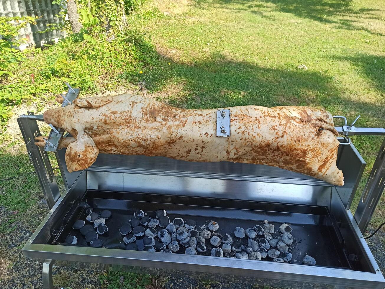 Outdoor Roast Experience Cooking a Whole Pig in a Traditional Barbecue Setup for All photo