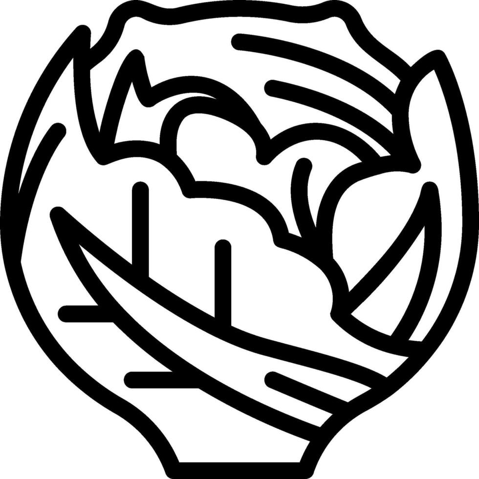 A black and white drawing of a cabbage vector