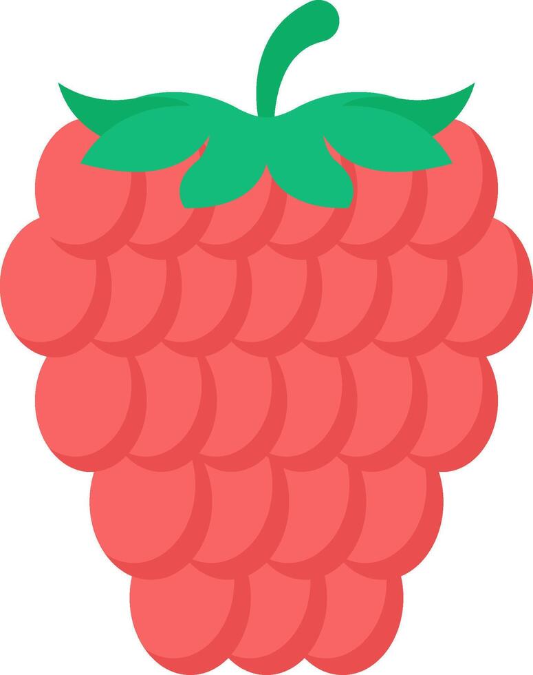 Raspberry clip art image vector