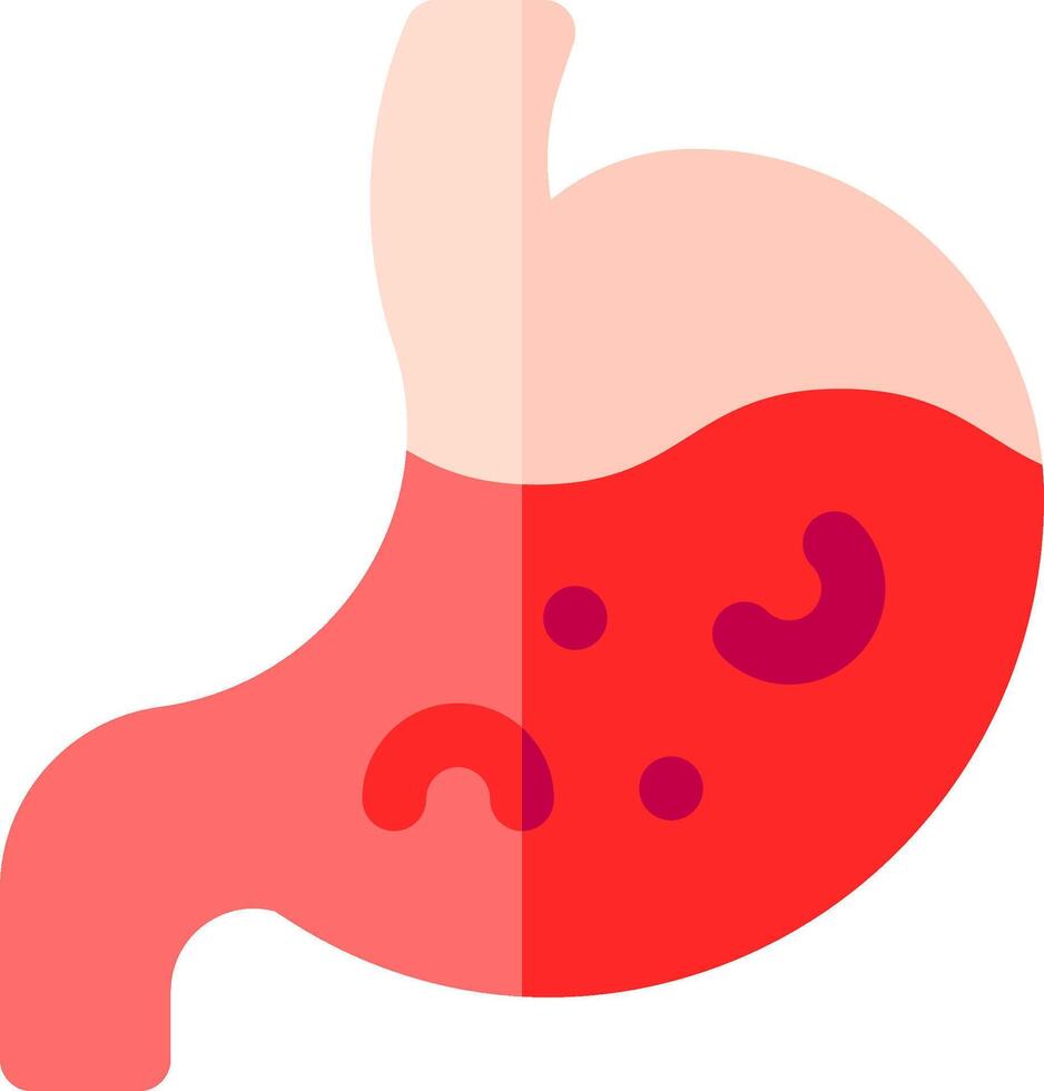 The stomach is shown with a red and pink color vector