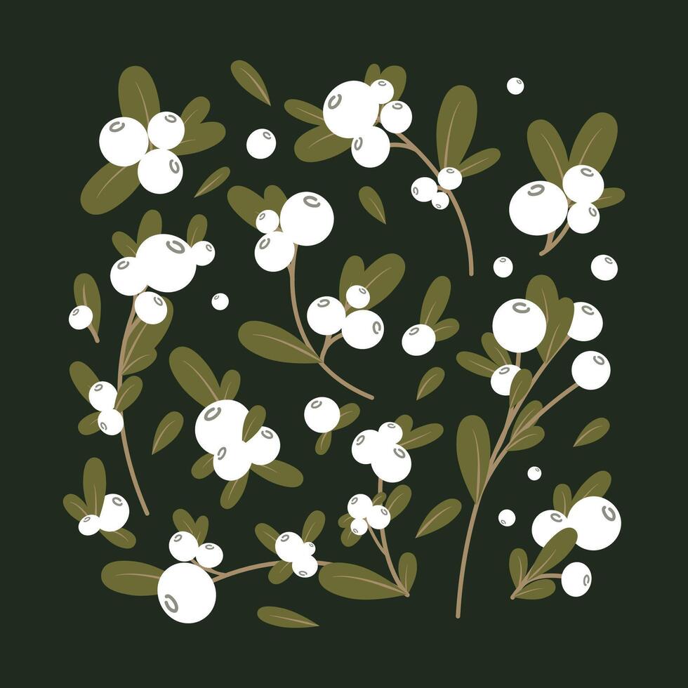 Collection of mistletoe branches and berries for printing, design, decoration. vector