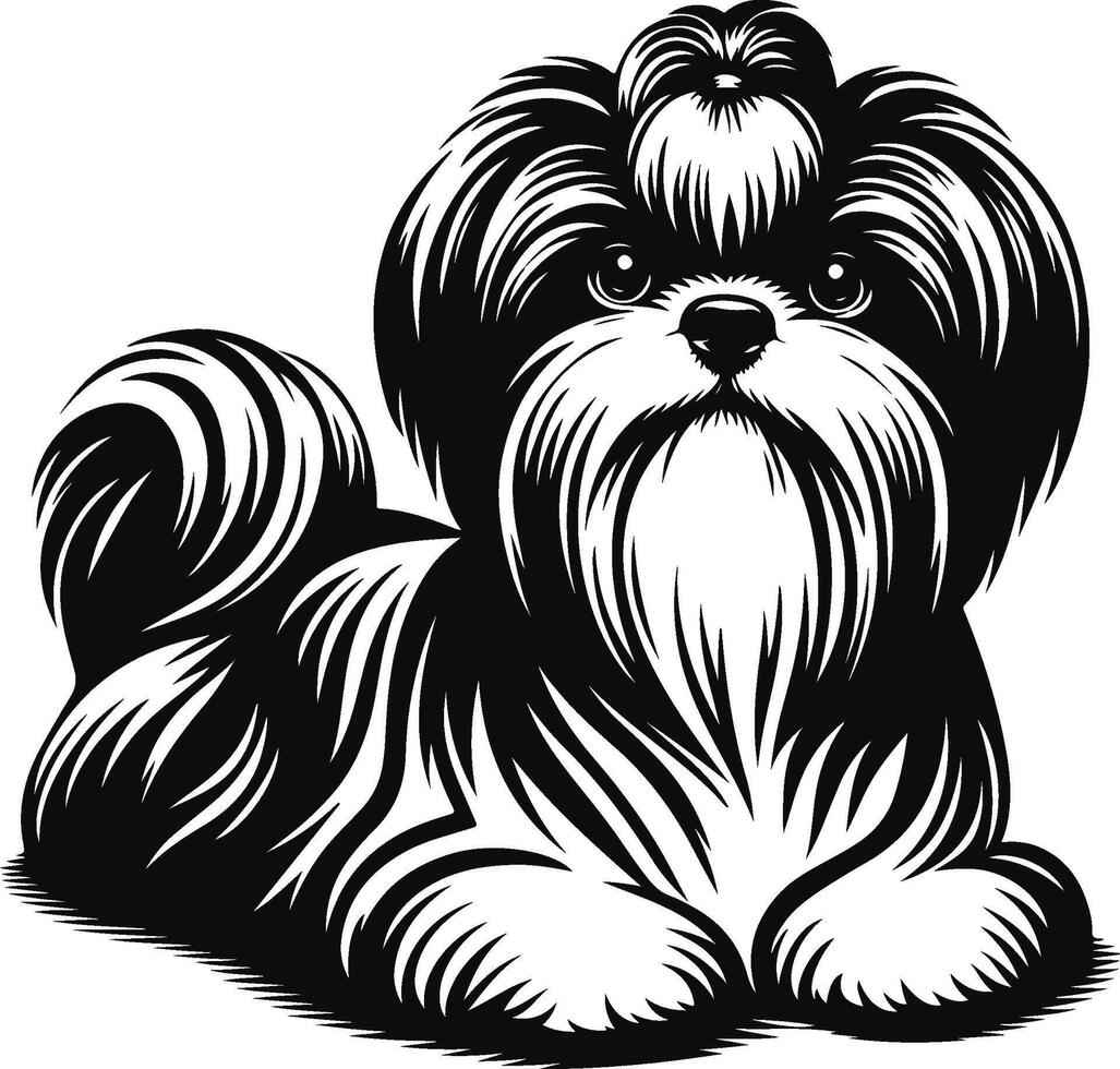Shih tzu dog vector
