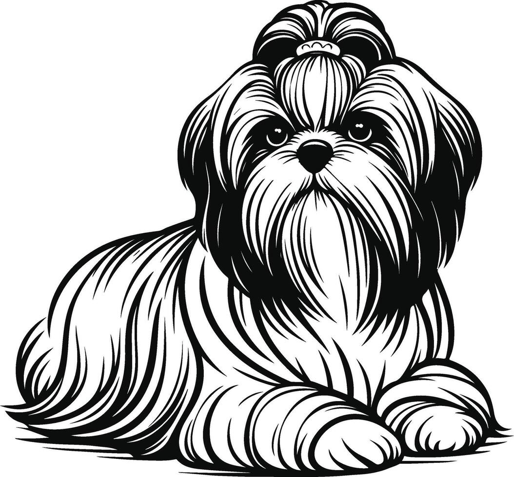 Shih tzu dog coloring pages vector
