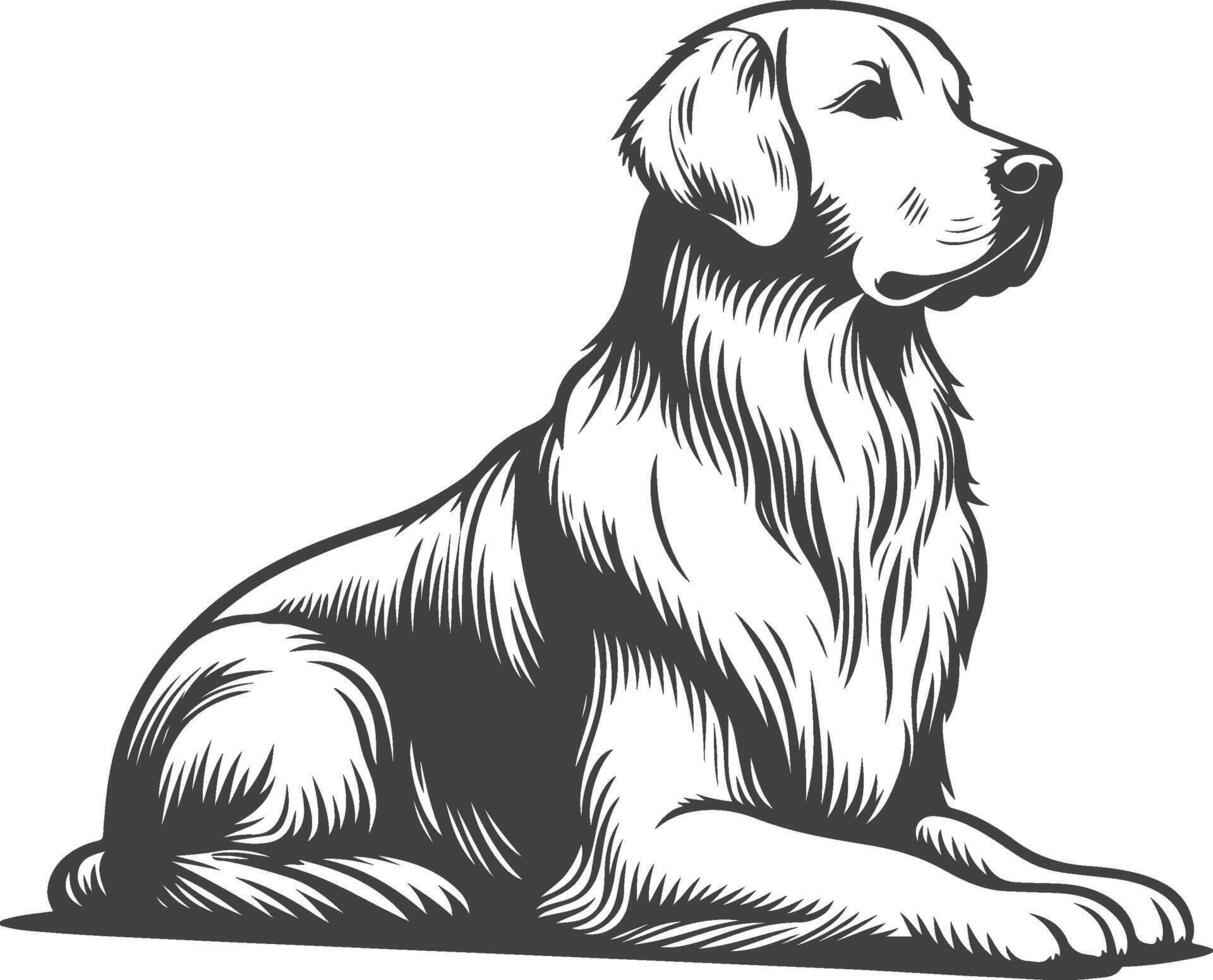 A black and white drawing of a golden retriever vector
