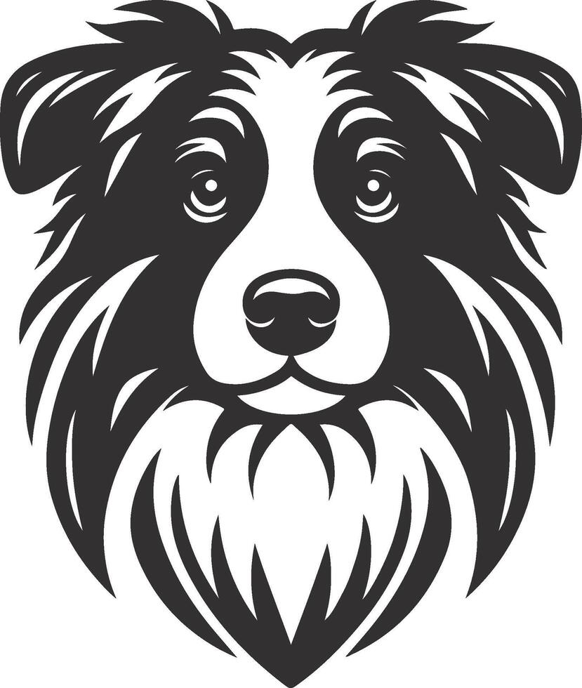 Portrait of a Australian Shepherd Dog isolated on white background, vector
