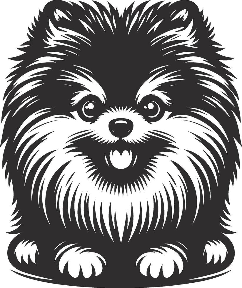 Portrait of a Pomeranian Dog isolated on white background Dog Silhouettes. vector